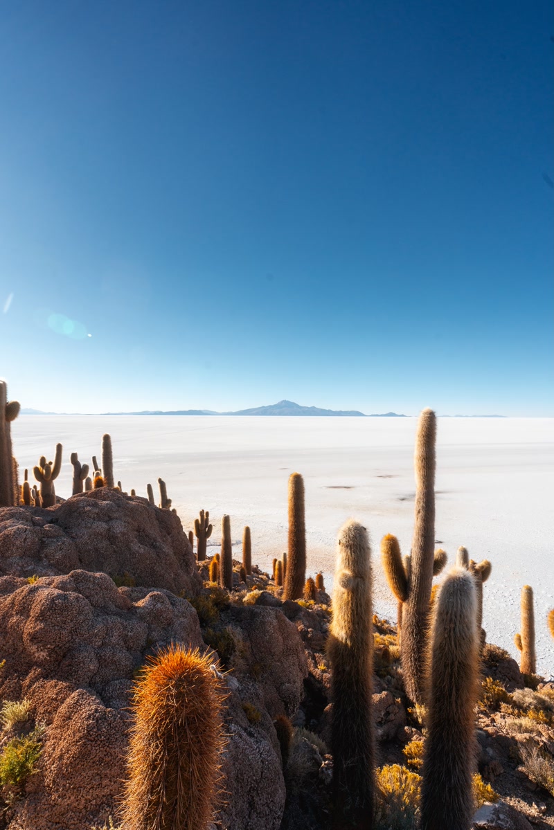 Salar de Uyuni